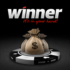 Рейк гонка на $8000 на Winner Poker